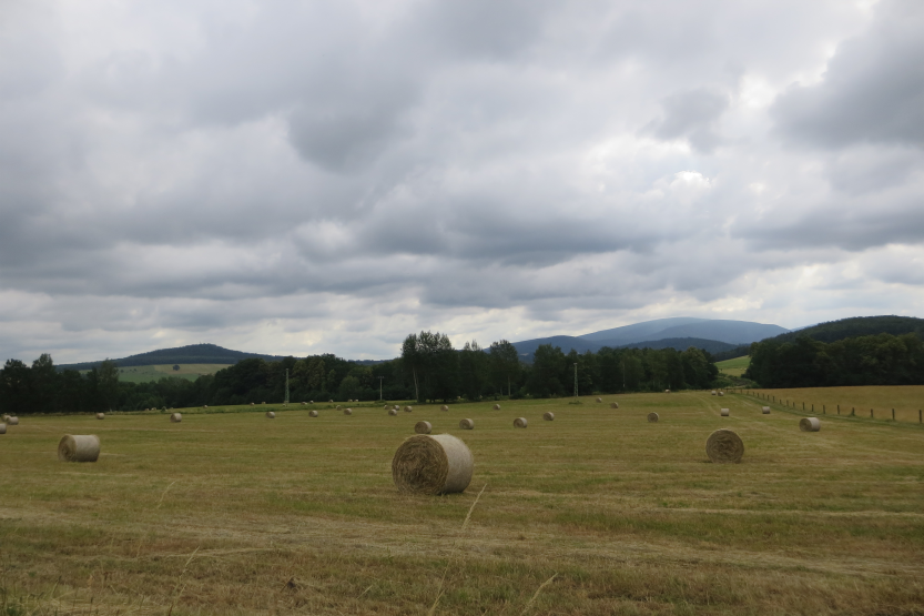 Campagne tchèque