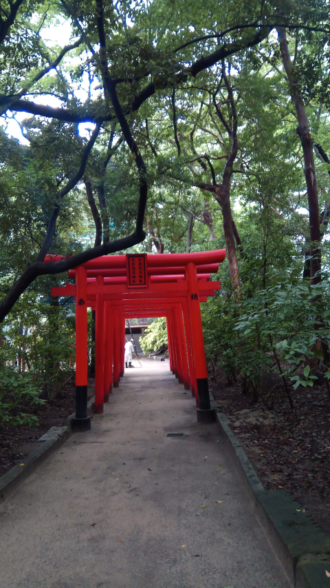 Temple Fukuoka